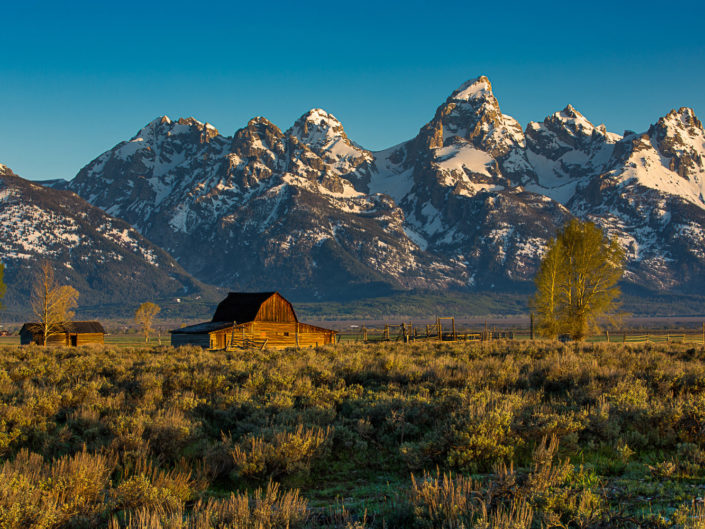 Teton View