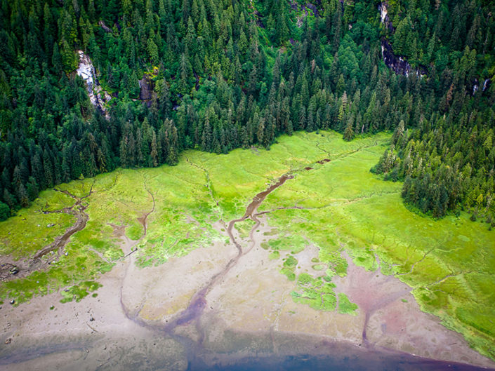 Misty Fiords Granduer No. 1