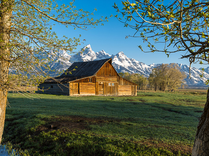 Mormon Homestead